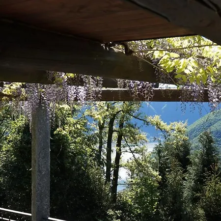 Casa Barbara - Eine Oase Der Ruhe Oberhalb Des Di Lugano